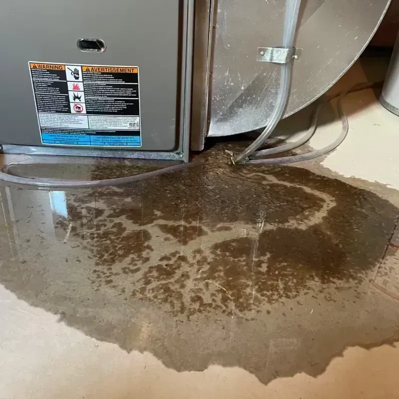 Appliance Leak Cleanup in Dayton, IN